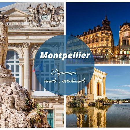 Reve Bleu Residence La Grande Pyramide Vue Port Hyper Centre Wifi Parking Prive Gratuit Buitenkant foto