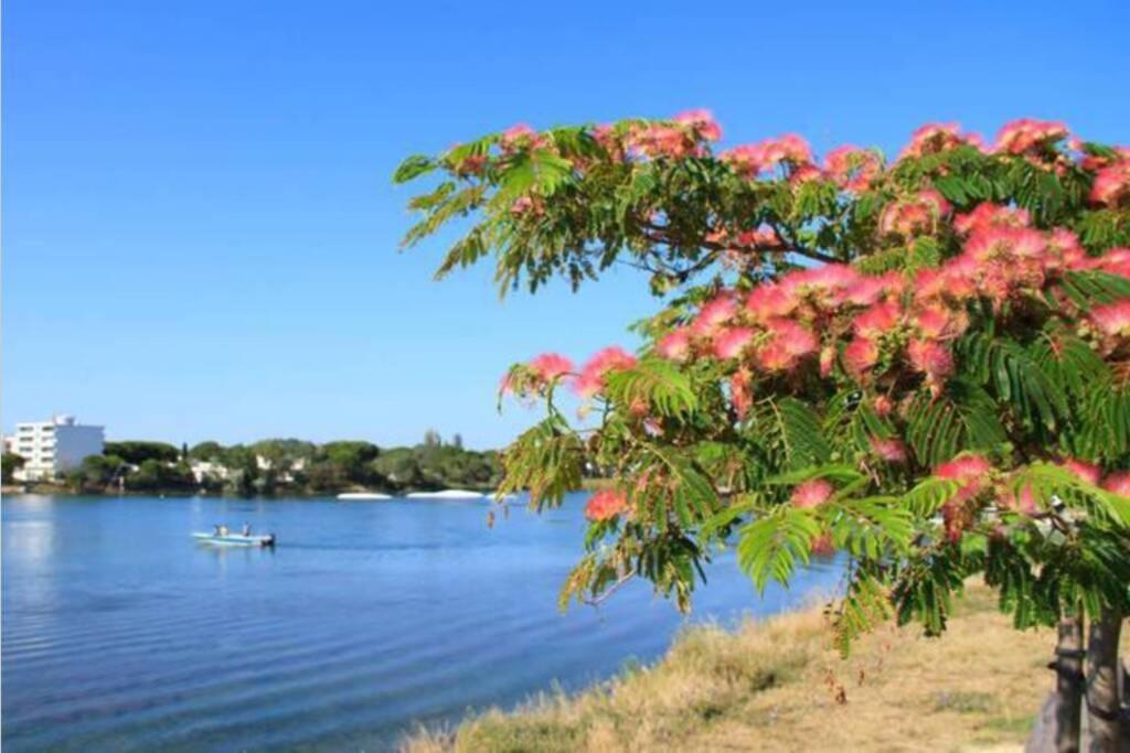 Reve Bleu Residence La Grande Pyramide Vue Port Hyper Centre Wifi Parking Prive Gratuit Buitenkant foto